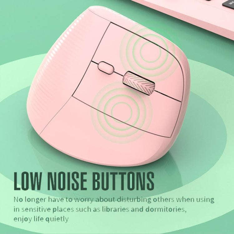 XUNSVFOX H5 Upright Vertical Dual Mode Mouse Rechargeable Wireless Business Office Mouse(Black)