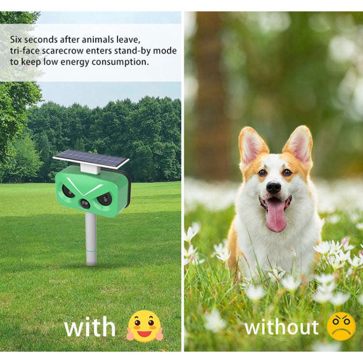 Outdoor Solar Animal Repeller Multi-functional Bird/Cat/Rat Repeller(SJZ028-2)