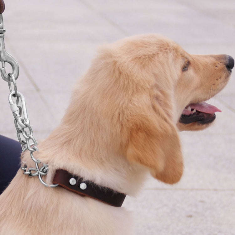 Half P Shape Pet Dog Collar Leather Dog Chain Collar, Size: L(Coffee)