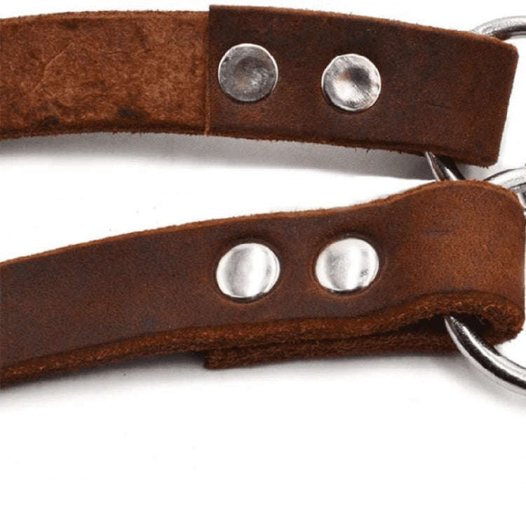 Half P Shape Pet Dog Collar Leather Dog Chain Collar, Size: L(Coffee)