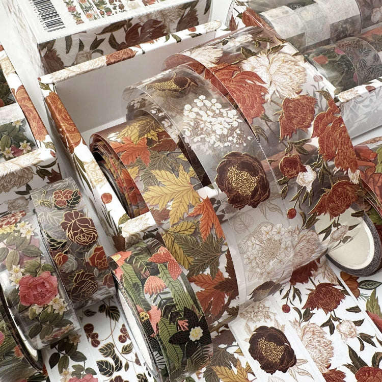 8rolls /Box  Ancient Style Transparent PET Tape Set for Journaling 3cm x 2+2cm x 2+1.5cm x 4(Van ...