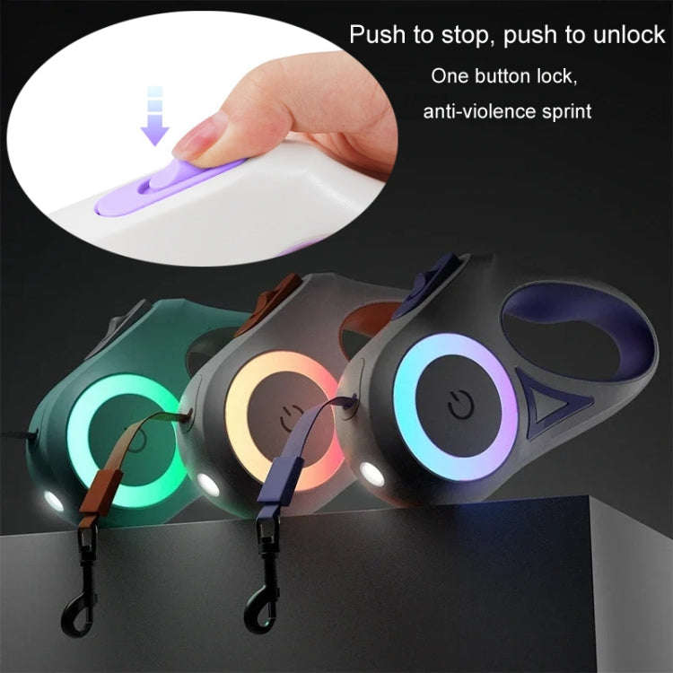 LED Light Luminous Pet Dog Leash Automatic Retractable Dog Walking Leash, Color: 5m Green
