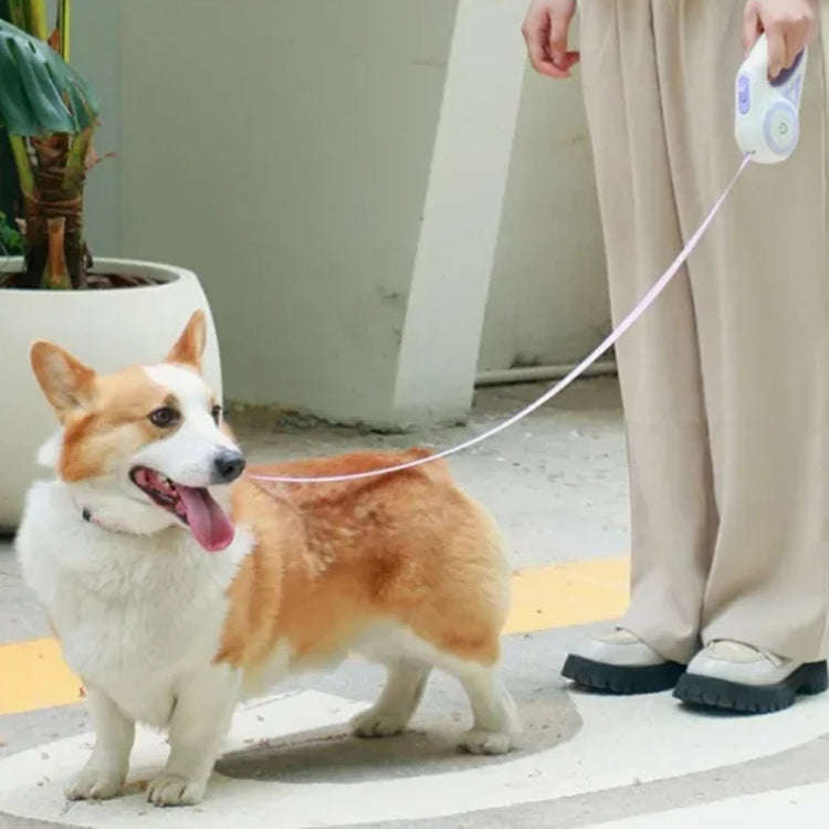 LED Light Luminous Pet Dog Leash Automatic Retractable Dog Walking Leash, Color: 3m Orange