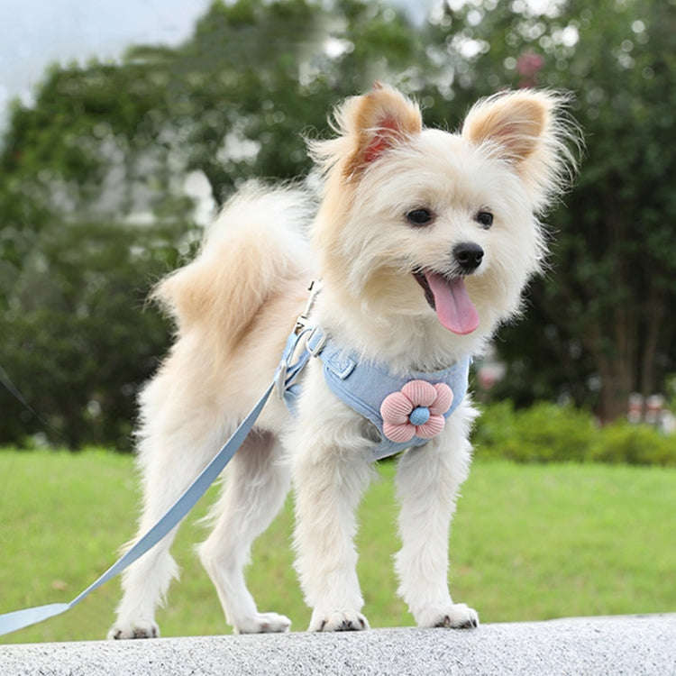 Pet Puppy Dog Leash Vest Teddy Chest Belt Chain Dog Walking Leash, Size: XL(Green)