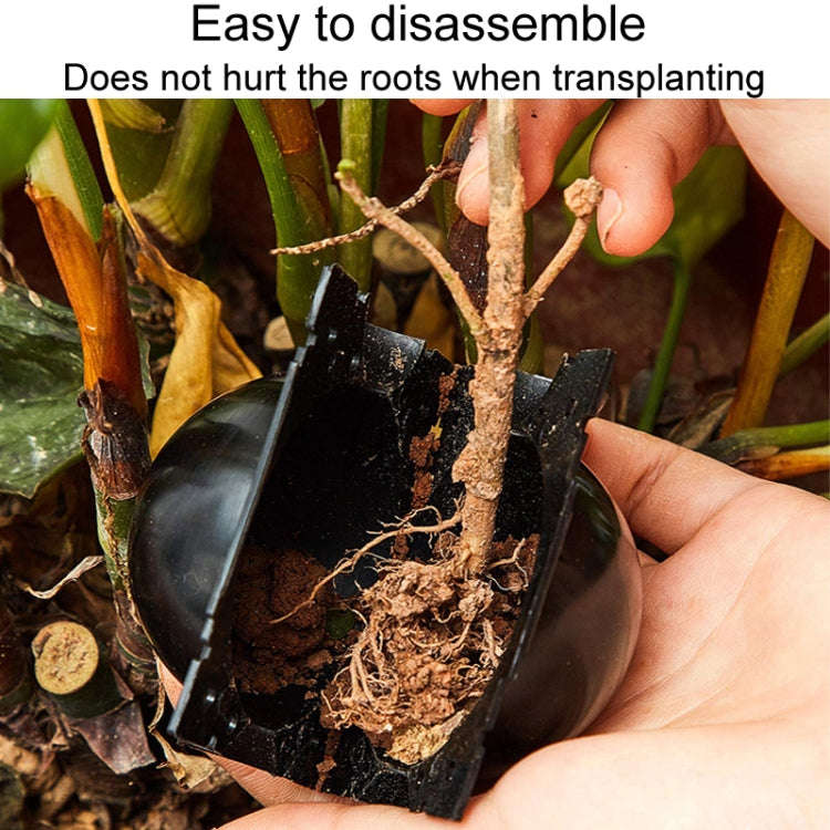 2pcs Plants Growth High Pressure Box Spherical Root Controller Grafting Root Cases, Model: M Tran...