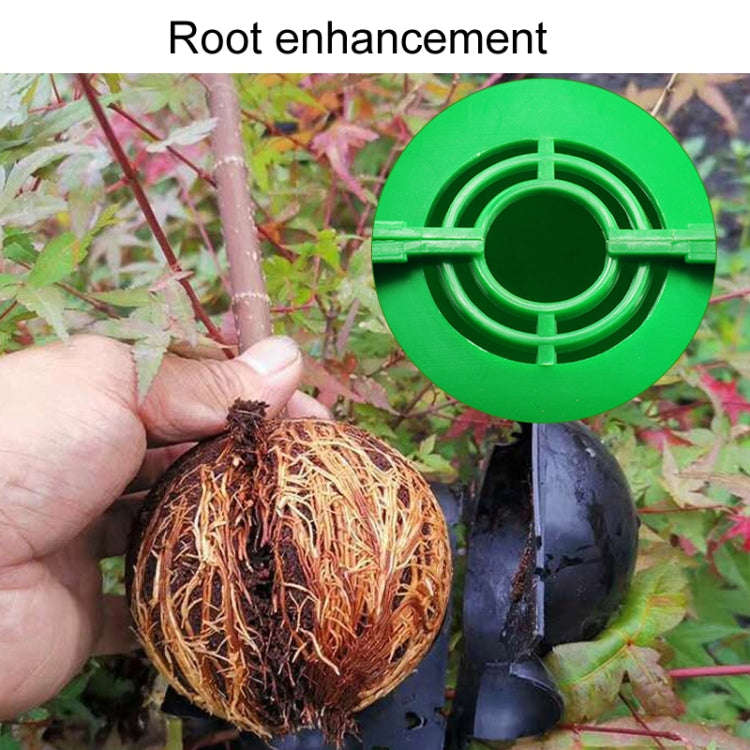 2pcs Plants Growth High Pressure Box Spherical Root Controller Grafting Root Cases, Model: S Gree...