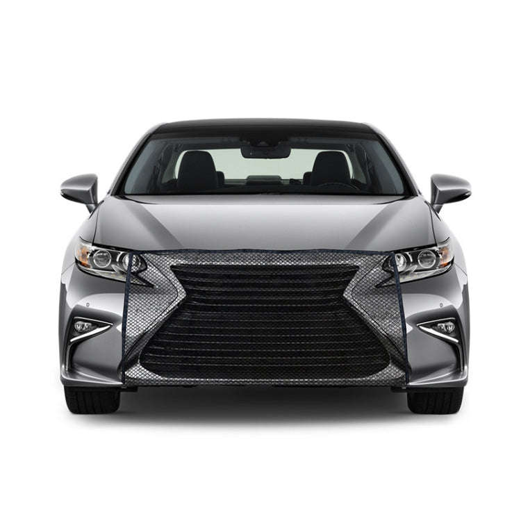 2pcs Car Radiator Front Windshield Insect Protection Net(Black)