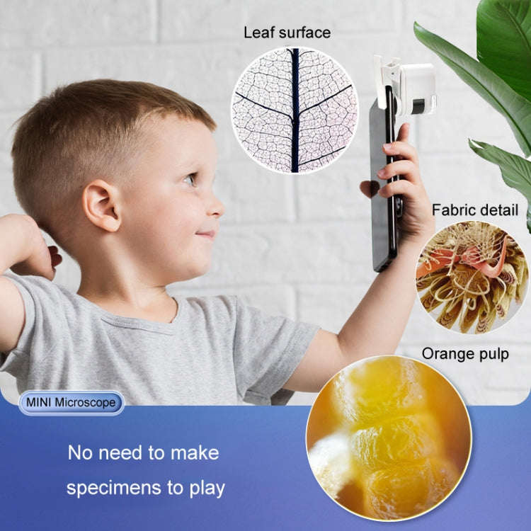 80X Children Mini Portable Microscope Student Antique Jewelry Identification Science Experiment T...