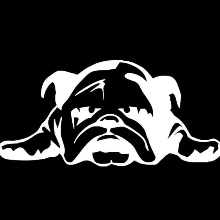 2pcs British Tired Puppy Car Decorative Sticker(Reflective Silver White)