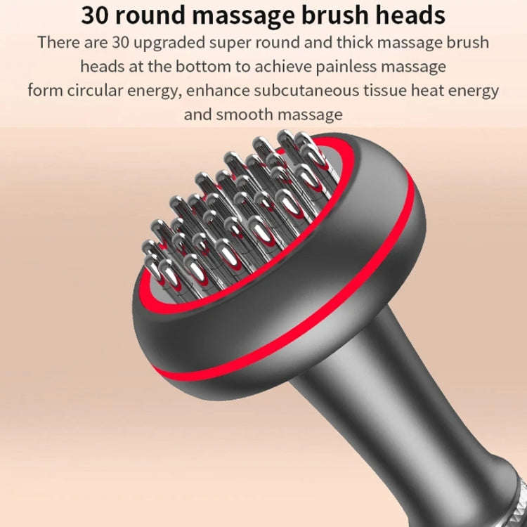 Home Electric Meridian Brush Scraping Instrument US Plug