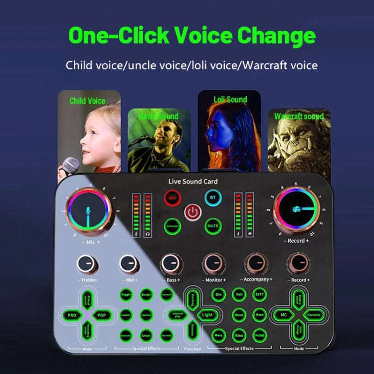 K600 48V English Version Live Dedicated Sound Card(Black)