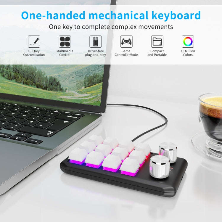 12 Keys Wired With RGB Lights Customized Office Keyboard Shortcut Keys Computer Audio Volume Cont...