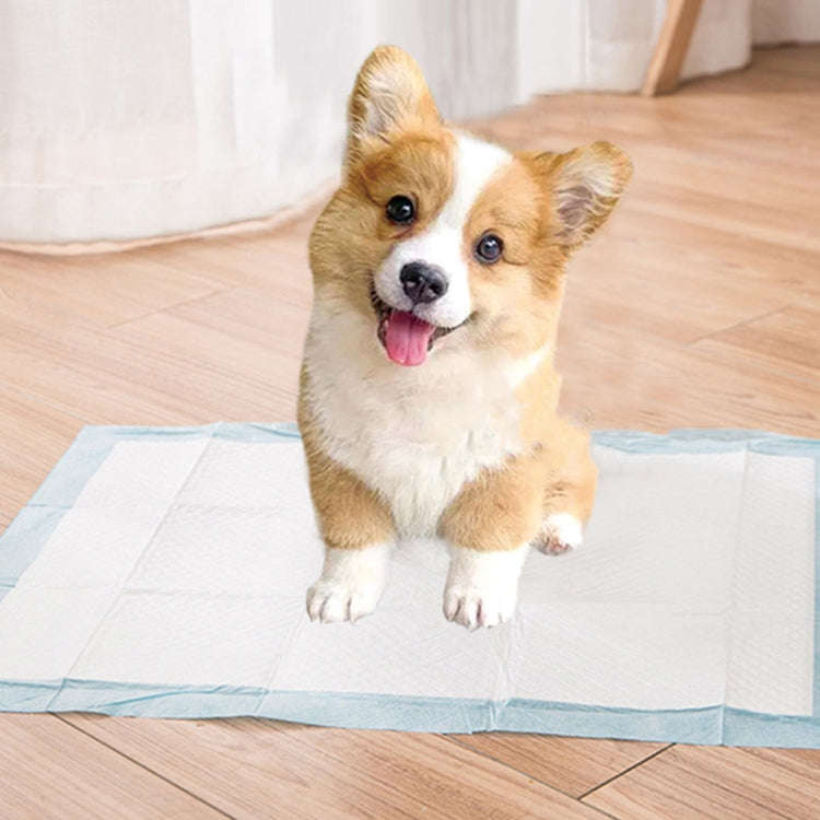 M 45 x 60cm 50pcs / Pack Pet Training Pads Thickened Water-Absorbent Dog Nappy Pad Diaper