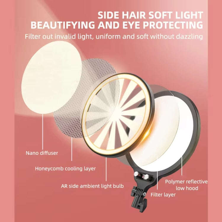 10.2 Inch Full-Screen Selfie Ring Light Tripod Set for Live Stream, Spec: 55cm Bracket With Remot...