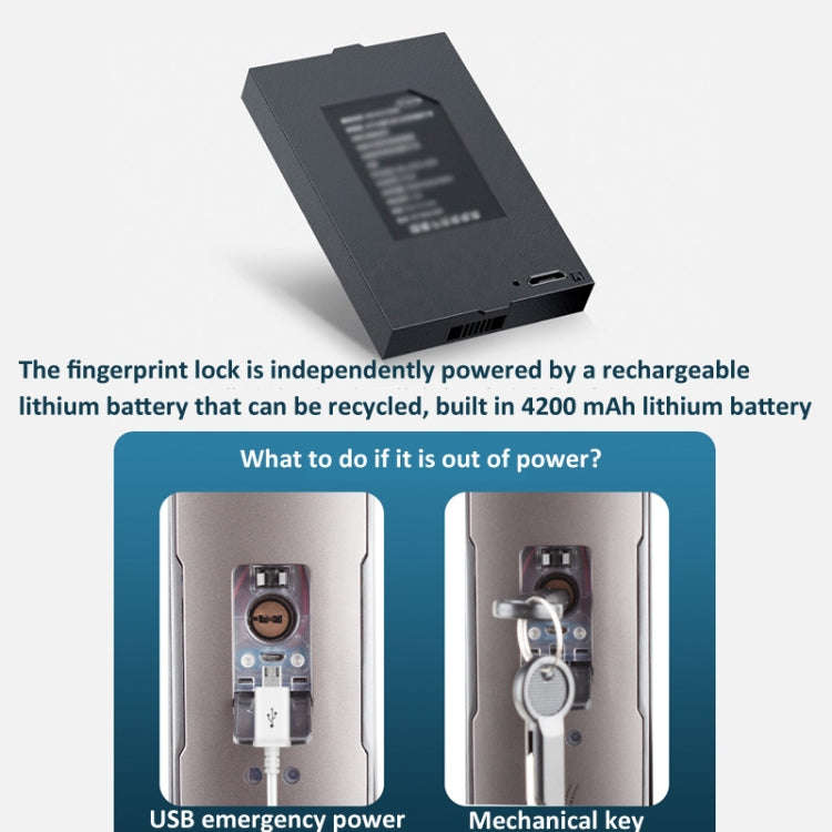 M6 3D Face Recognition Fingerprint Door Lock Support APP Smart IC Card Password Unlock