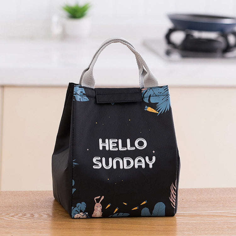 Lunch Thermal Bag Cooler Picnic Tote Food Bag Large Capacity  Insulated Storage Pack, Style: Big ...