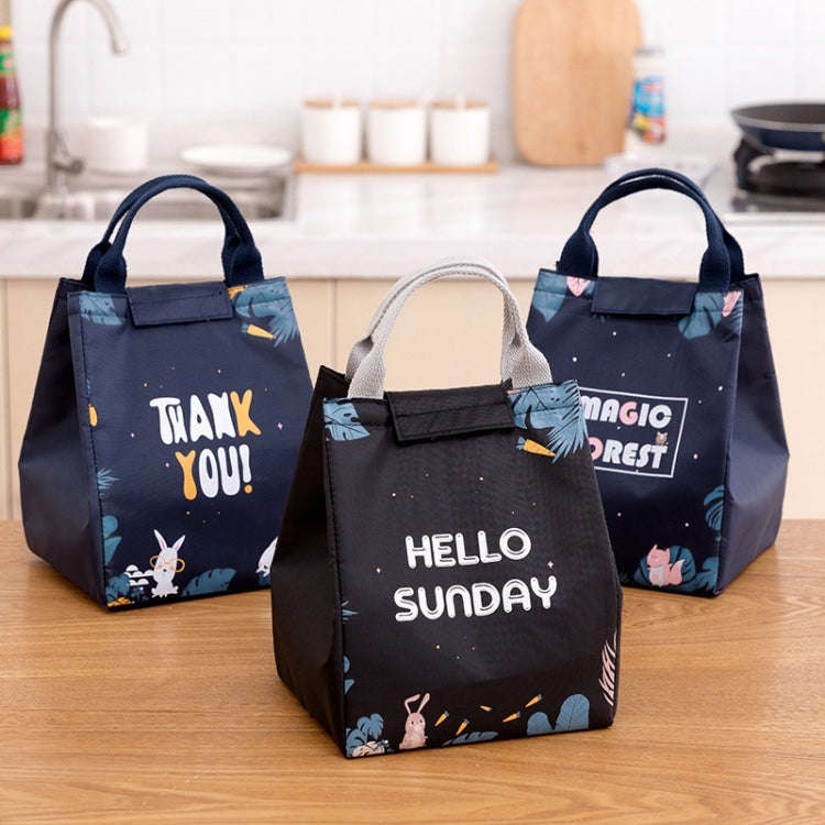 Lunch Thermal Bag Cooler Picnic Tote Food Bag Large Capacity  Insulated Storage Pack, Style: Big ...