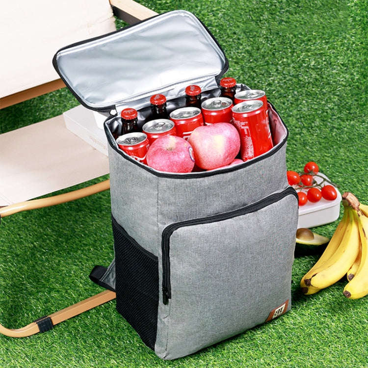 20L Camping Portable Double Shoulder Insulated Pack Outdoor Picnic Large Capacity Lunch Bag(Black)
