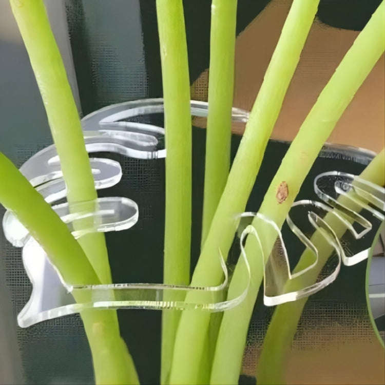 BJ138-002 Plant Roots Fixing Bracket Gardening Care Tools
