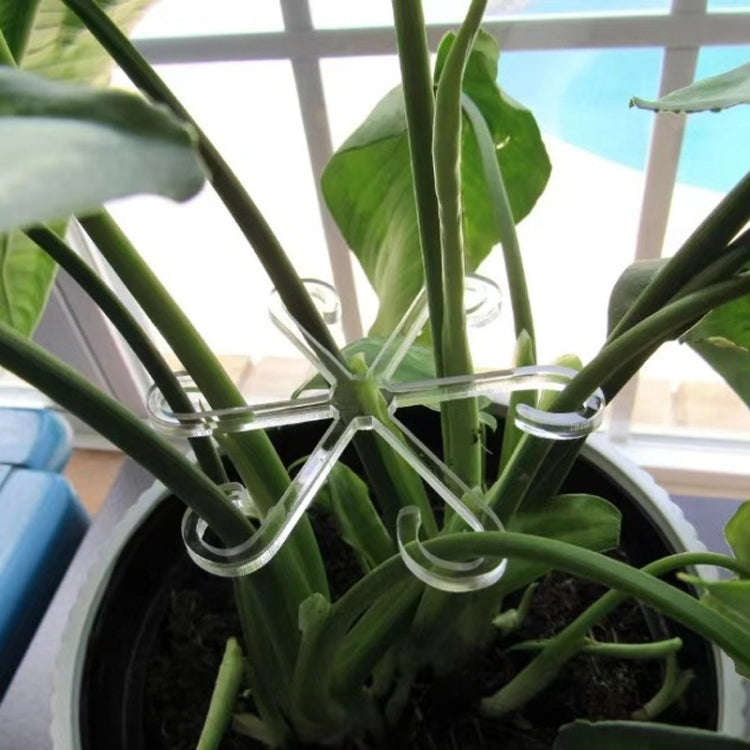 Small Plant Stem Support Bracket Garden Vegetable Plant Root Stem Holder