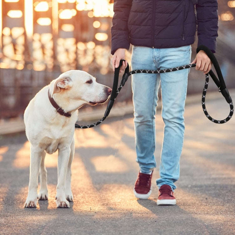 Double Handle Dog Leash Nylon Reflective Rope for Control Safety Training, Size: 150 x 1.2cm(Blue)