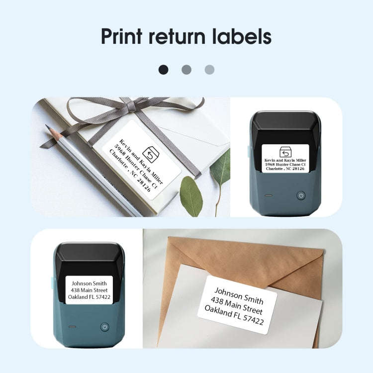 NIIMBOT Portable Bluetooth Sticker Label Thermal Printer(Worm Green English)