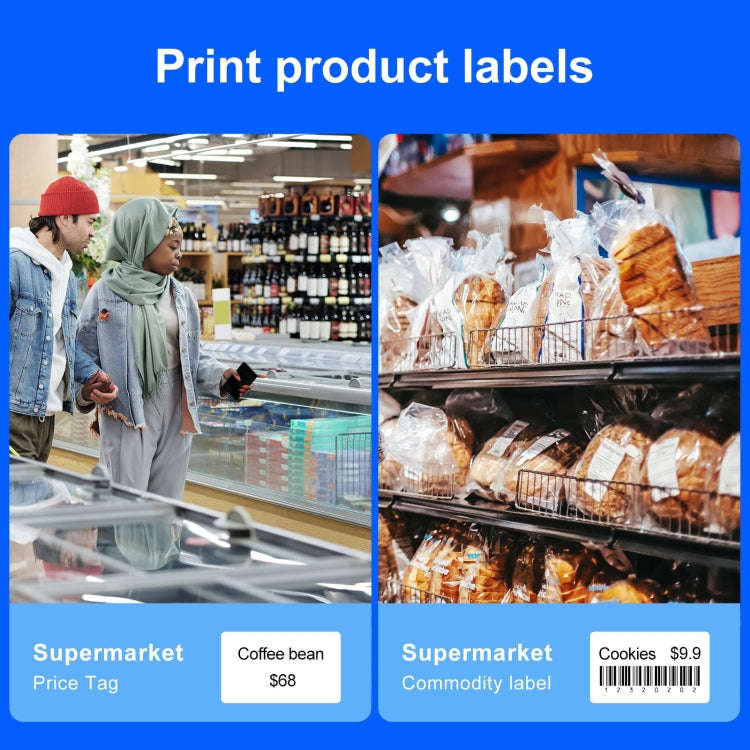 NIIMBOT Portable Bluetooth Sticker Label Thermal Printer(Flowing Silver English)