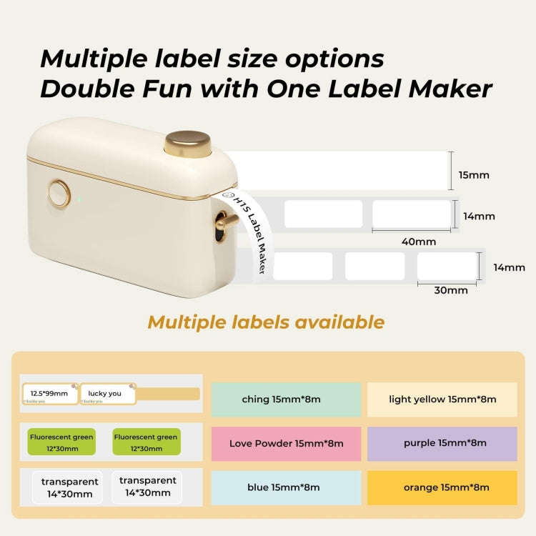 NIIMBOT Small Handheld Portable Smart Label Printer(H1S English)