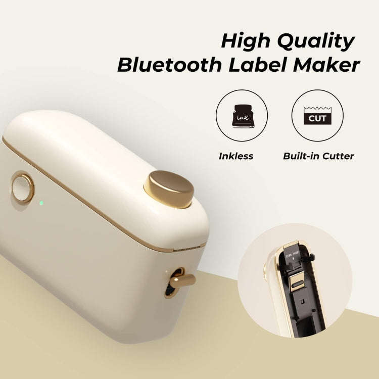NIIMBOT Small Handheld Portable Smart Label Printer(H1S English)
