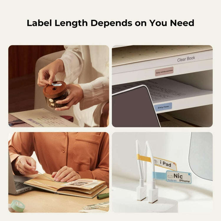 NIIMBOT Small Handheld Portable Smart Label Printer(H1S English)