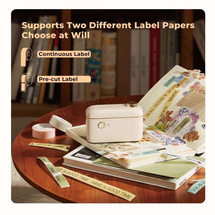 NIIMBOT Small Handheld Portable Smart Label Printer(H1S English)