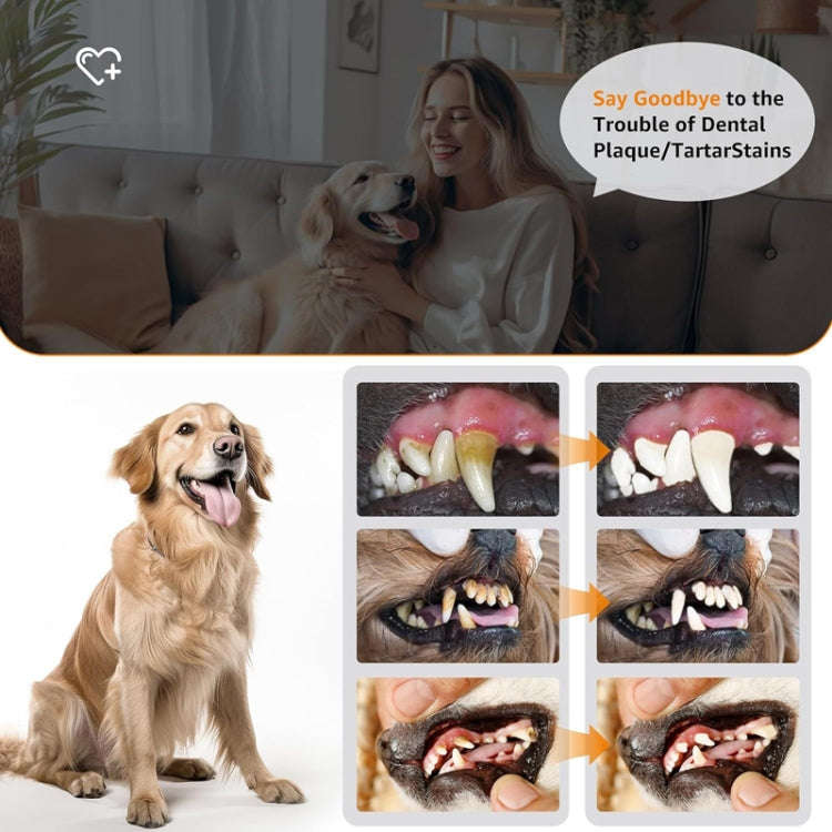 Pet Ultrasonic Teeth Cleaner Dog Electric Teeth Cleaning Tool Home Dentistry Tartar Remover(White)