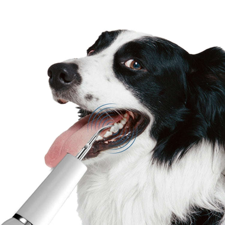 Pet Ultrasonic Teeth Cleaner Dog Electric Teeth Cleaning Tool Home Dentistry Tartar Remover(White)