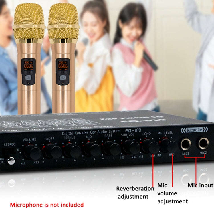 EQ-819 Car Audio Equalizer EQ Tuning Crossover Amplifier Supports Dual Microphone Input Reverbera...