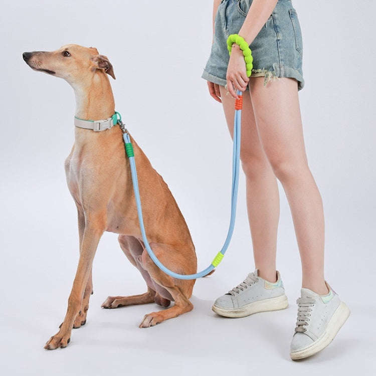 Explosion-Proof  Two-Stage Dog Leash With Foam Handle For Medium And Large Dogs(Sea Mist Blue)