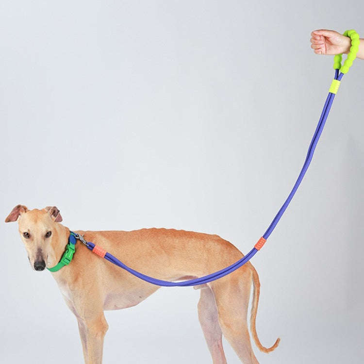 Explosion-Proof  Two-Stage Dog Leash With Foam Handle For Medium And Large Dogs(Sea Mist Blue)