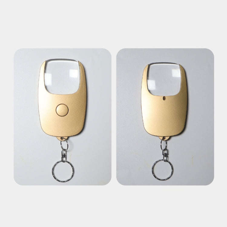 5x Magnifying Glass with Light & Keychain Rechargeable Magnifier for Elderly Reading(Silver)