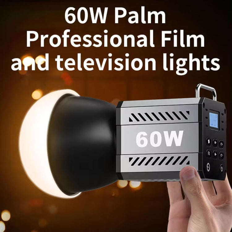 Desiontal ZU-60 60W Hand-Held Camera Light High Power Fill Light, EU Plug, Spec: Standard