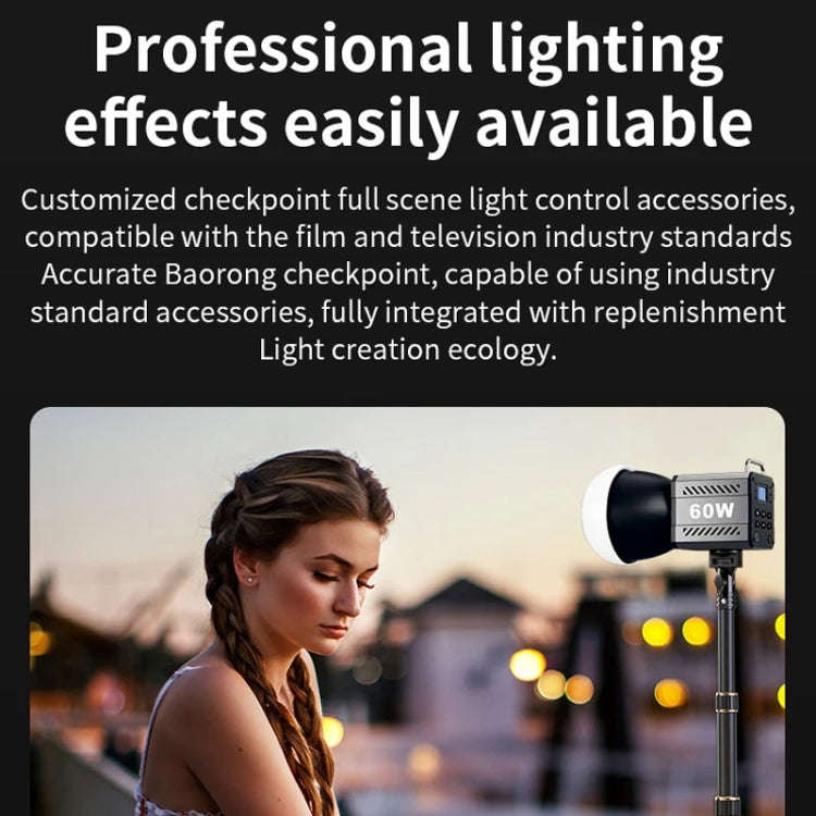 Desiontal ZU-60 60W Hand-Held Camera Light High Power Fill Light, EU Plug, Spec: Standard