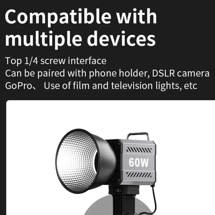 Desiontal ZU-60 60W Hand-Held Camera Light High Power Fill Light, EU Plug, Spec: Standard