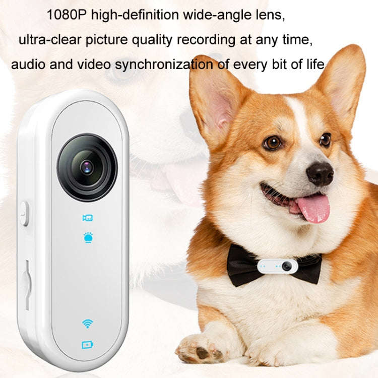 HD Outdoor Portable Pet Recorder Cycling Sports Camera, Specifications: With 32G TF Card