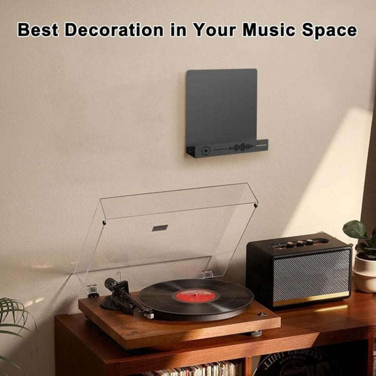 YH011-1 Vinyl Record Storage Wall Mounted Display Rack