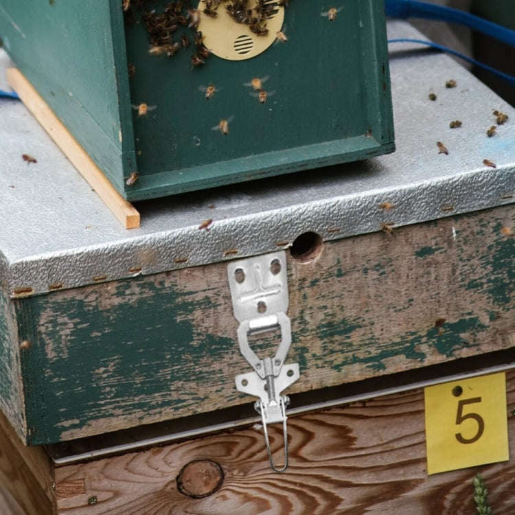 Beehive Buckle Connector Bee Box Anti-theft Fastener Beekeeping Tools(FA88990)