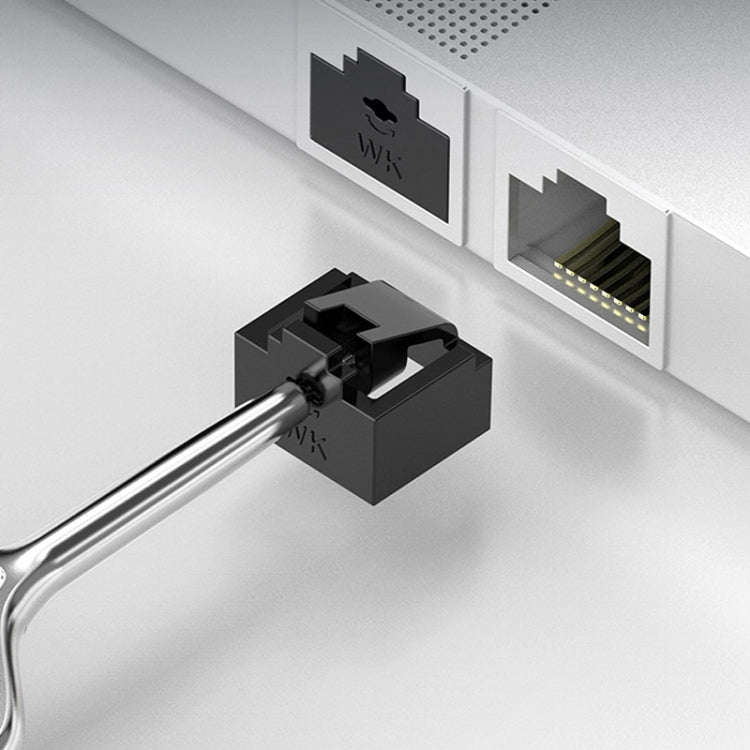 RJ45 Network Port Removable Safety Plug Dustproof Port Lock, Color: Black 2 Plug+1 Key Outer Cover