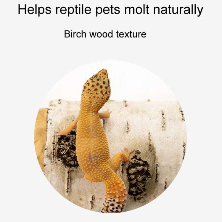 L Aquarium Birch Shape Hiding House Reptiles Lizards Aquascape