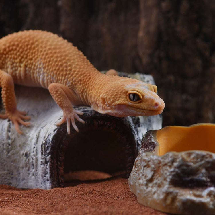L Aquarium Birch Shape Hiding House Reptiles Lizards Aquascape