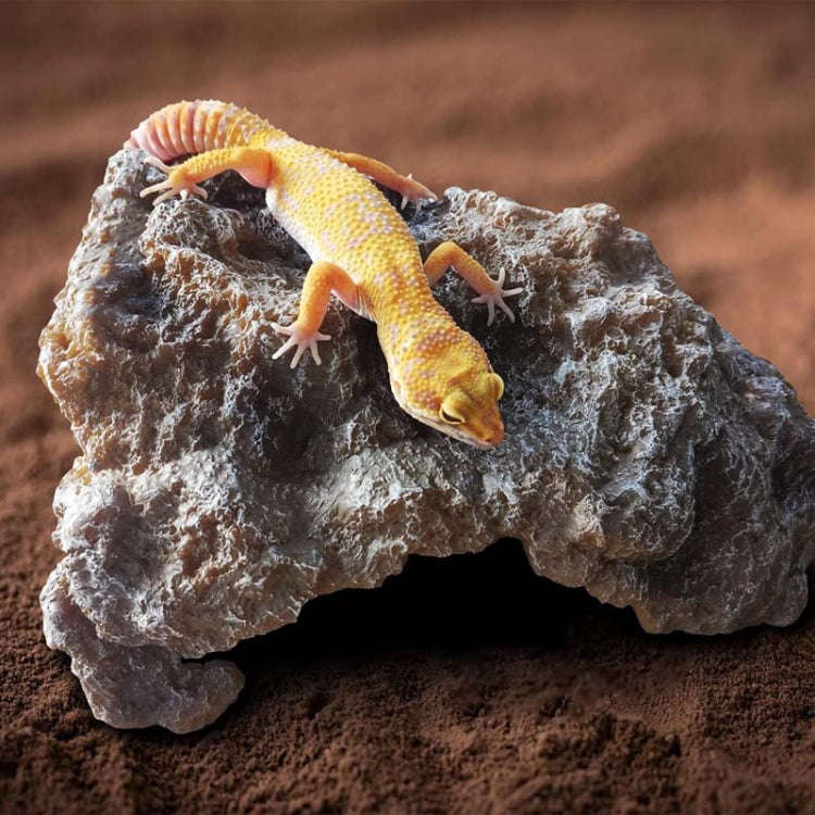 L Reptile Simulation Rocks Hideaway House Turtle Sunbed