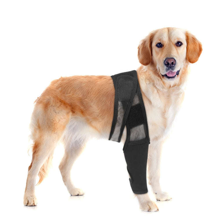 Dog Leg Fracture Protection Injury Support Belt, Size: L(Black)