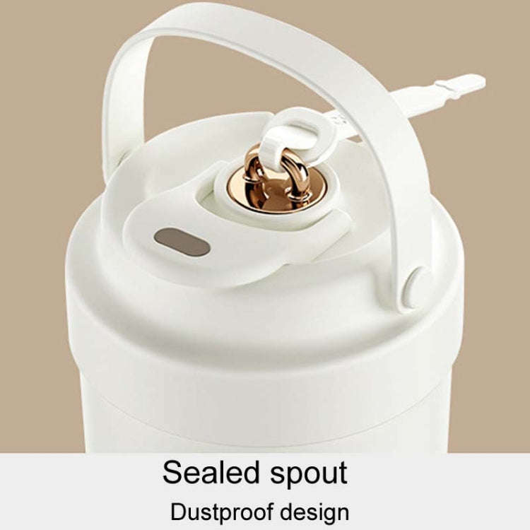 500ml 316 Stainless Steel Insulated Mug Portable Carry-On Dual Drink Coffee Cup With Straw(Coffee...