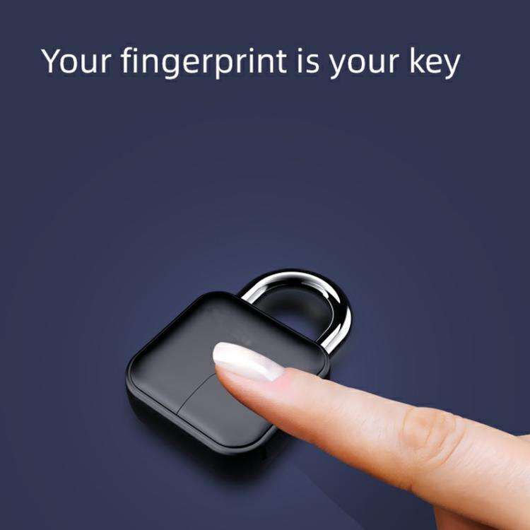 Anytek L3+ Graffiti Smart Fingerprint Padlock Waterproof Electronic Lock